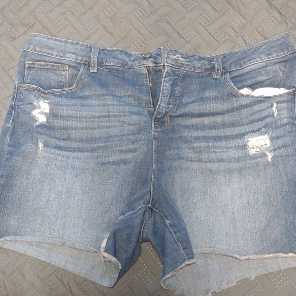 Size 20 shorts
